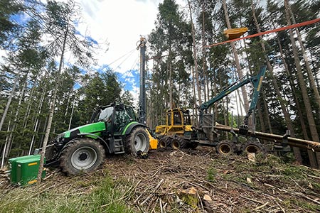 Seilkran Uniforest Cobra 9500-25